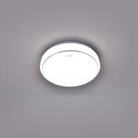 LED stropnice